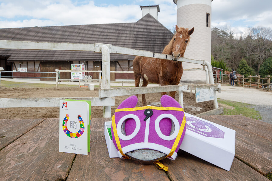 勝利のホースシュー